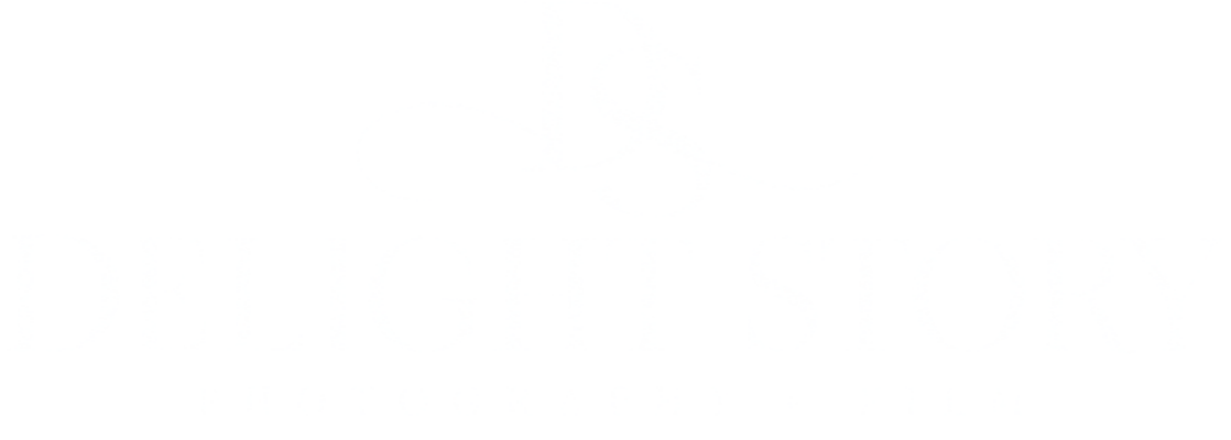 Delight Story Photography and Film